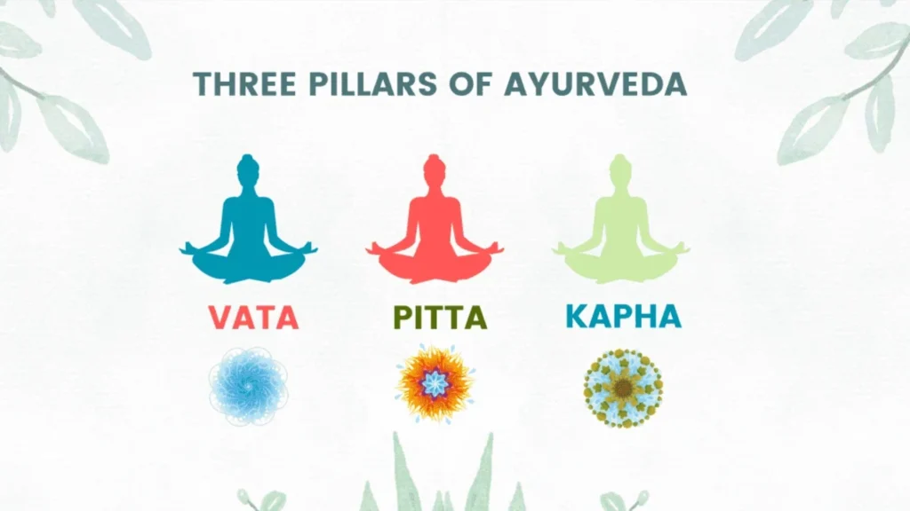 vata pitta kapha