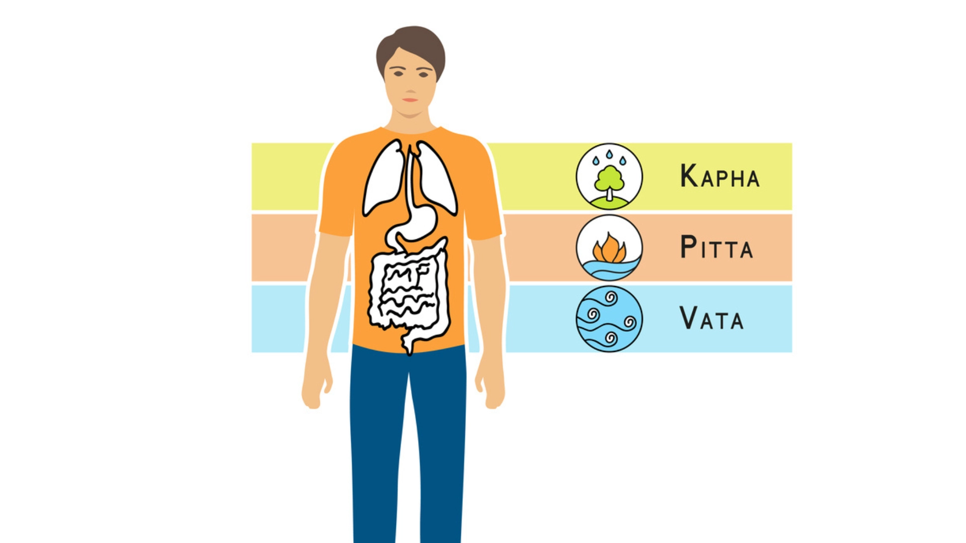 vata pitta kapha