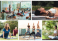 wellness retreat