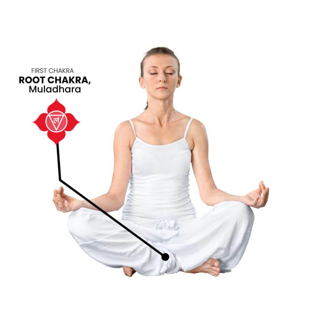 Root Chakra