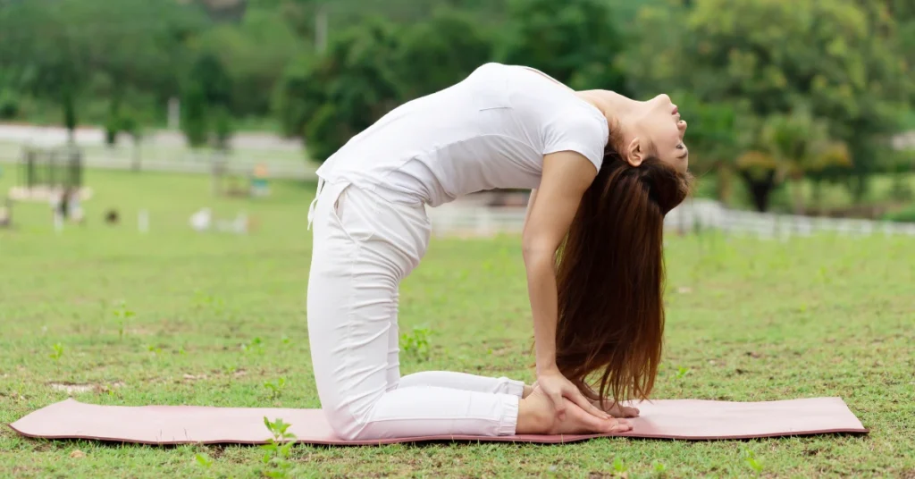 Camel Pose (Ustrasana)