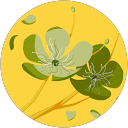 Flaminia Valente profile picture