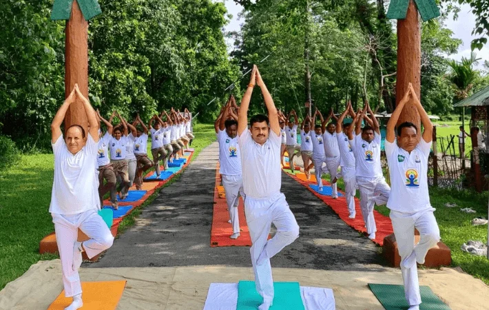 Why Celebrate International Yoga Day